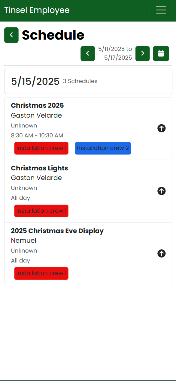 Project schedule